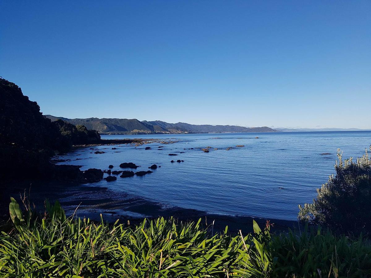 Te Kaha Beach Hotel Luaran gambar