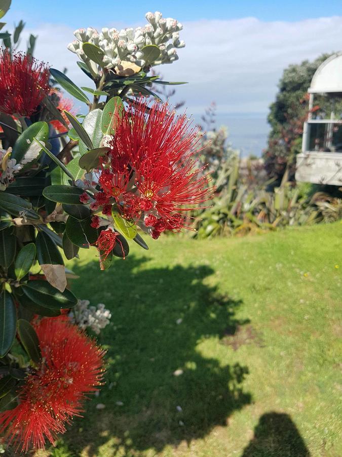 Te Kaha Beach Hotel Luaran gambar